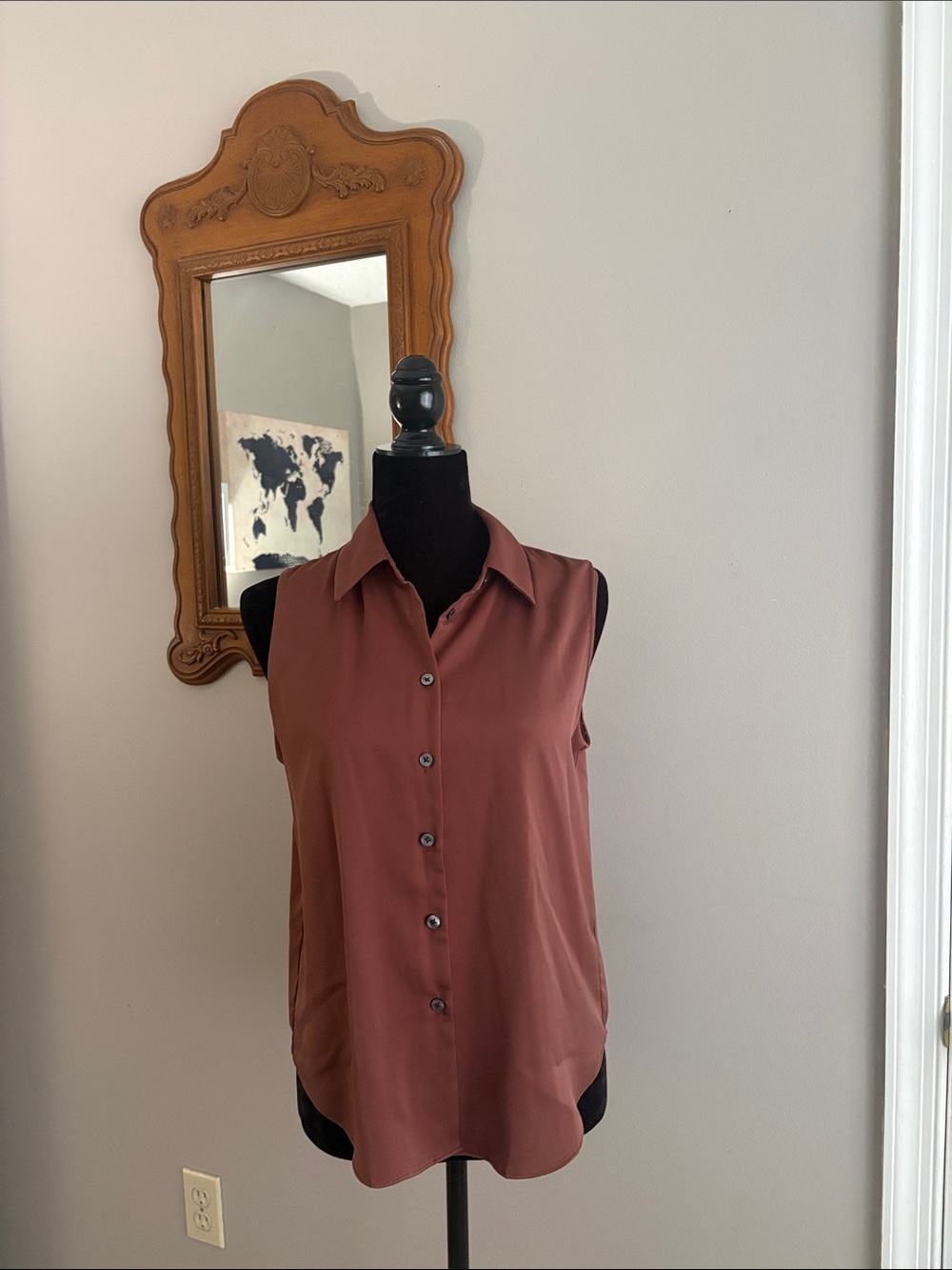 Banana Republic Sleeveless Button-Front Blouse in Terracotta